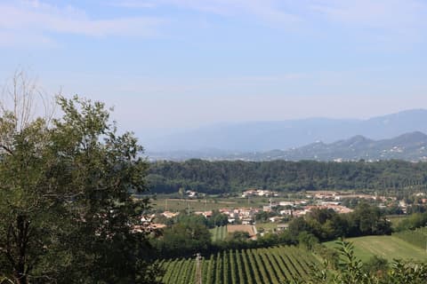 Albergo Alla Pineta