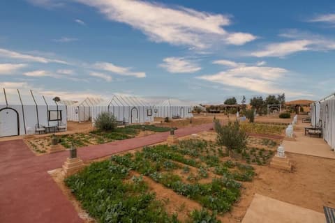 DWO Golden Camp Merzouga