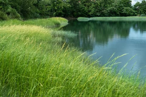 Holiday Inn Boston Logan Airport - Chelsea by IHG