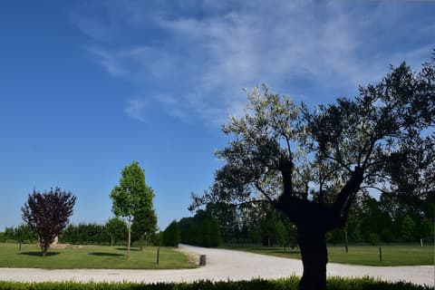 Tenuta Monterosso, Property grounds