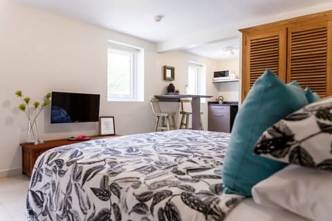 Aruba Boutique Apartments Adults Only, Room