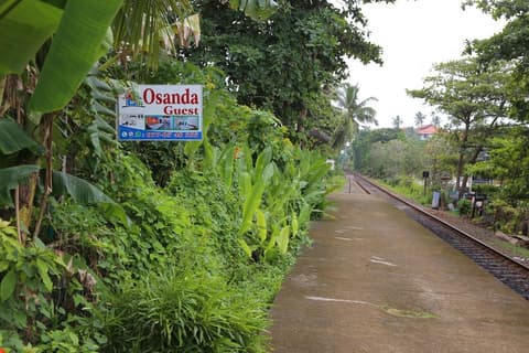 Osanda Guest, Property grounds