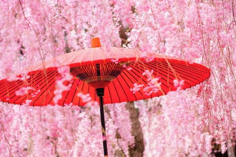 Comfort Inn Kyoto Shijokarasuma