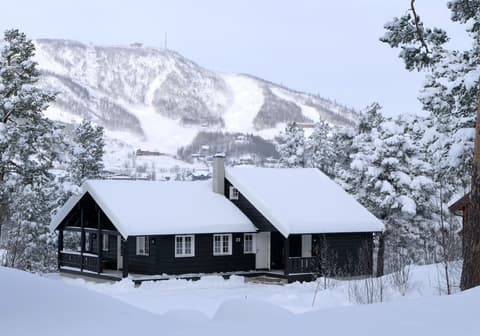 Geilolia Hyttetun, Room