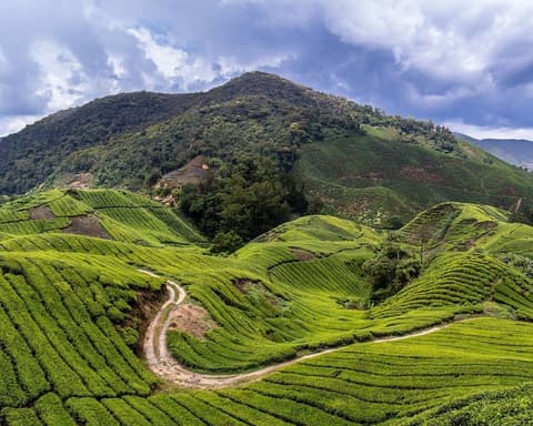 Sleepbox Hotel - Hostel