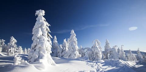 Golden Circle Suites