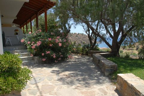 Zorbas Volissos Apartments Chios, Property grounds