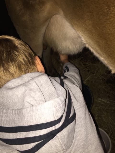 Eco Urbión, Children's activities