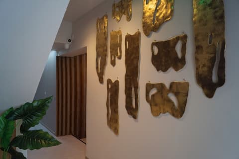 Hotel Zenite, Reception