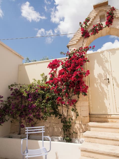 Trullo Monte Olimpo 5