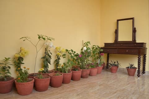Tara Guest House