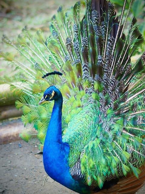 Reserva Natural Tierra Adentro