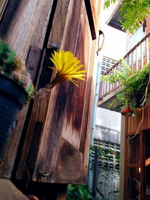 Baan Somlim Homestay - Hostel