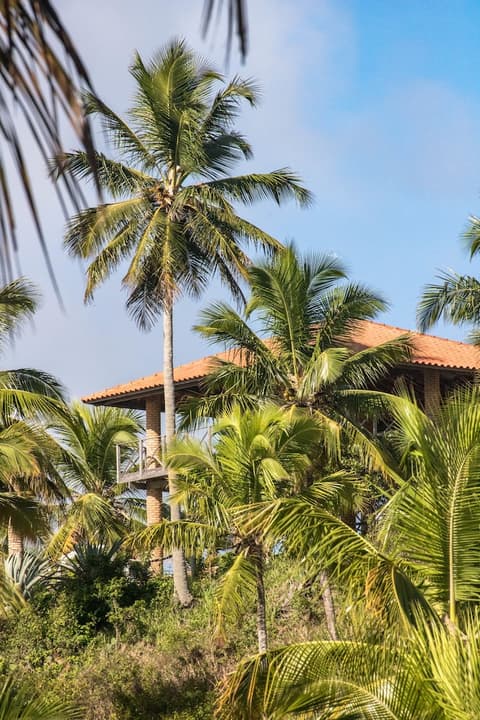 Eco Pousada Paraíso dos Coqueirais, Hiking