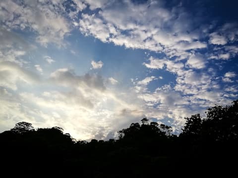 Ecohabs Bosques del Tayrona