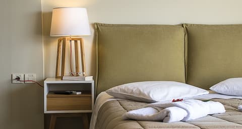 Fedriades Delphi Hotel, Room