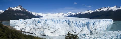 Sent Calafate