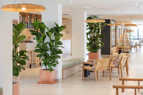 Copaiba by Honne Hotels - Adults Only