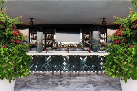 Mondrian South Beach