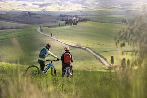 ADLER  Thermae