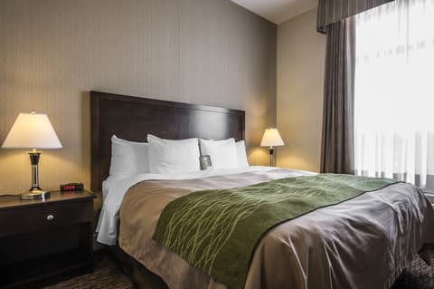 Comfort Inn Surrey Hotel