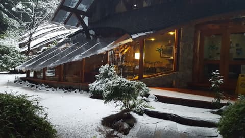 Casa del Bosque Apart, Suites & Spa