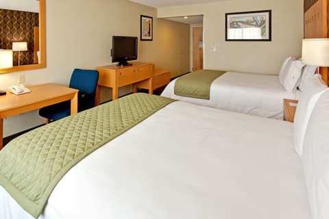 Holiday Inn Express & Suites Monterrey Aeropuerto by IHG, Room