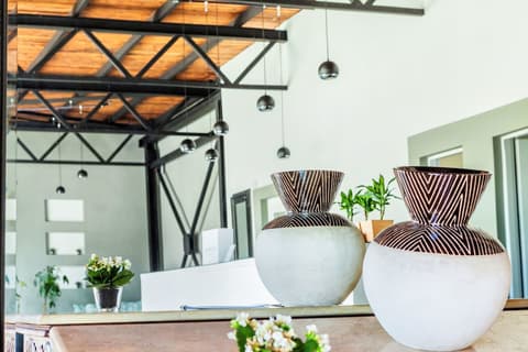 Hotel Kriopigi, Reception