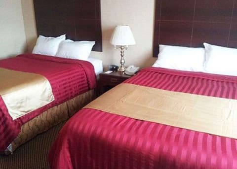 Econo Lodge City Centre, Room