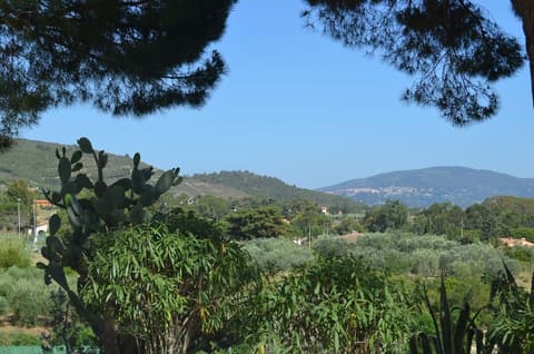 Appartamenti Elbamar Lacona