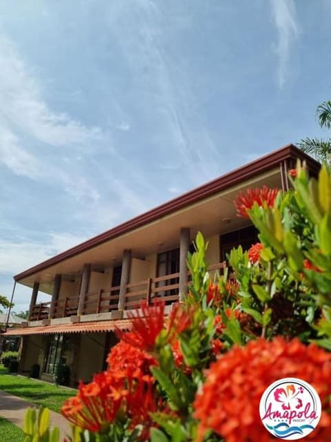 Hotel Amapola Resort