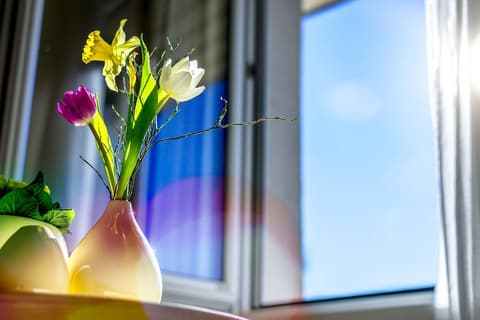 Hotel Stoiser's Graz