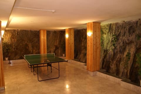 Hotel L'Ermita B&B, Billiards