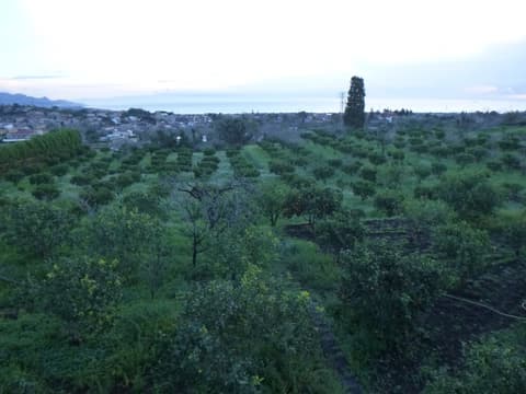 Baglio delle Rose