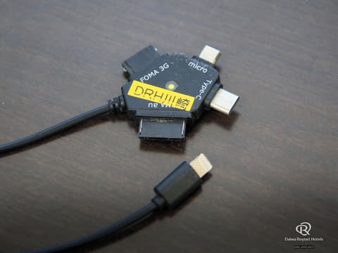 Daiwa Roynet Hotel Kawasaki