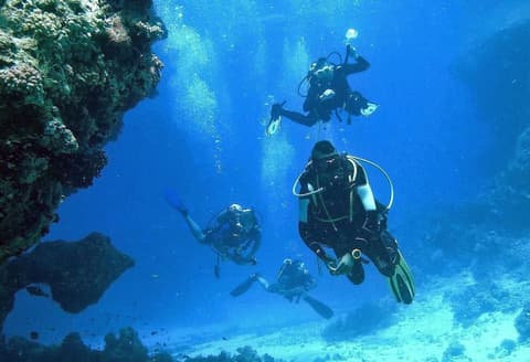 Arrayanes Playa Hotel