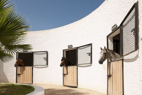 SENTIDO PHENICIA, Sports facility