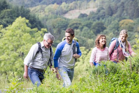 Hotel Restaurante Les Brases