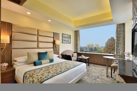 Radisson Srinagar, Room