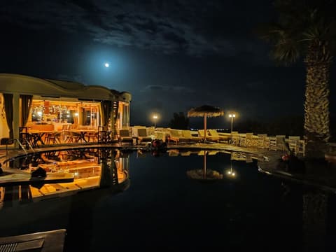 Villa Manos, Interior