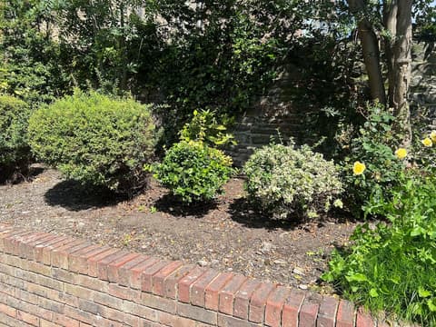 Waterloo Townhouse & Suites