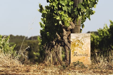 Mercer Casa Torner i Güell