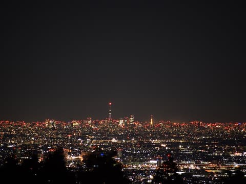 Hakone Yunohana Prince Hotel