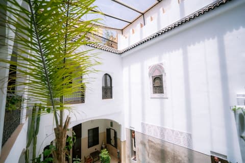 Riad Dar Massai, Terrace/patio