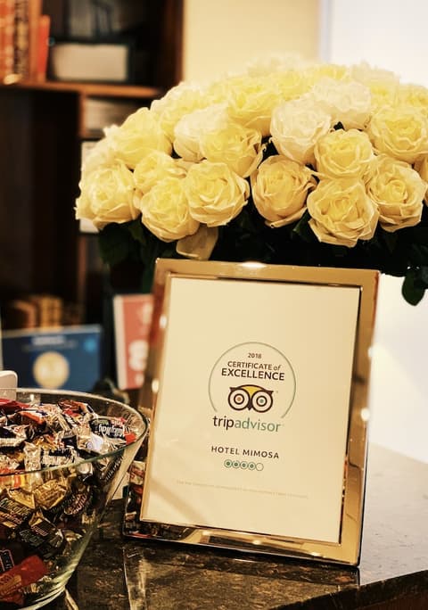 Hotel Mimosa, Lobby