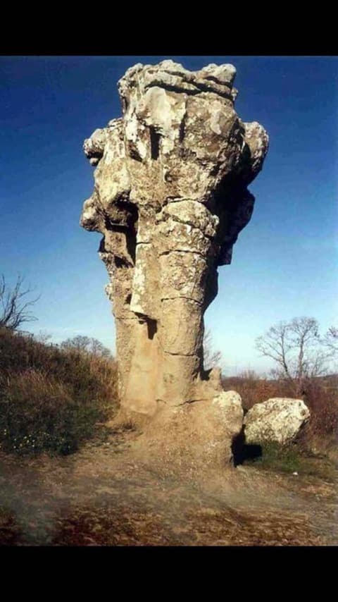 Civico7 Affittacamere