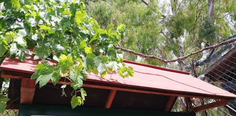 Camping Valle Dei Templi