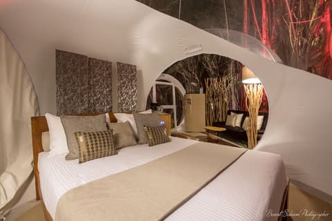 Bubble Lodge Ile aux Cerfs, Room