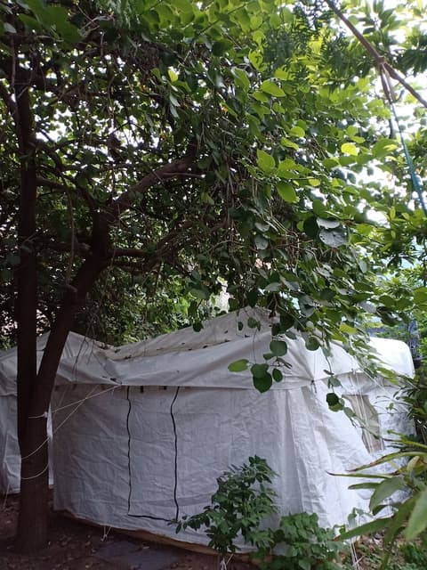 Nature Trail Camps & Homestay