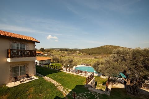 Vinifera Vineyards Hotel